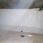 WhatsApp Image 2022-11-07 at 5.49.01 PM (2)